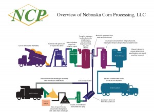NCP process overview